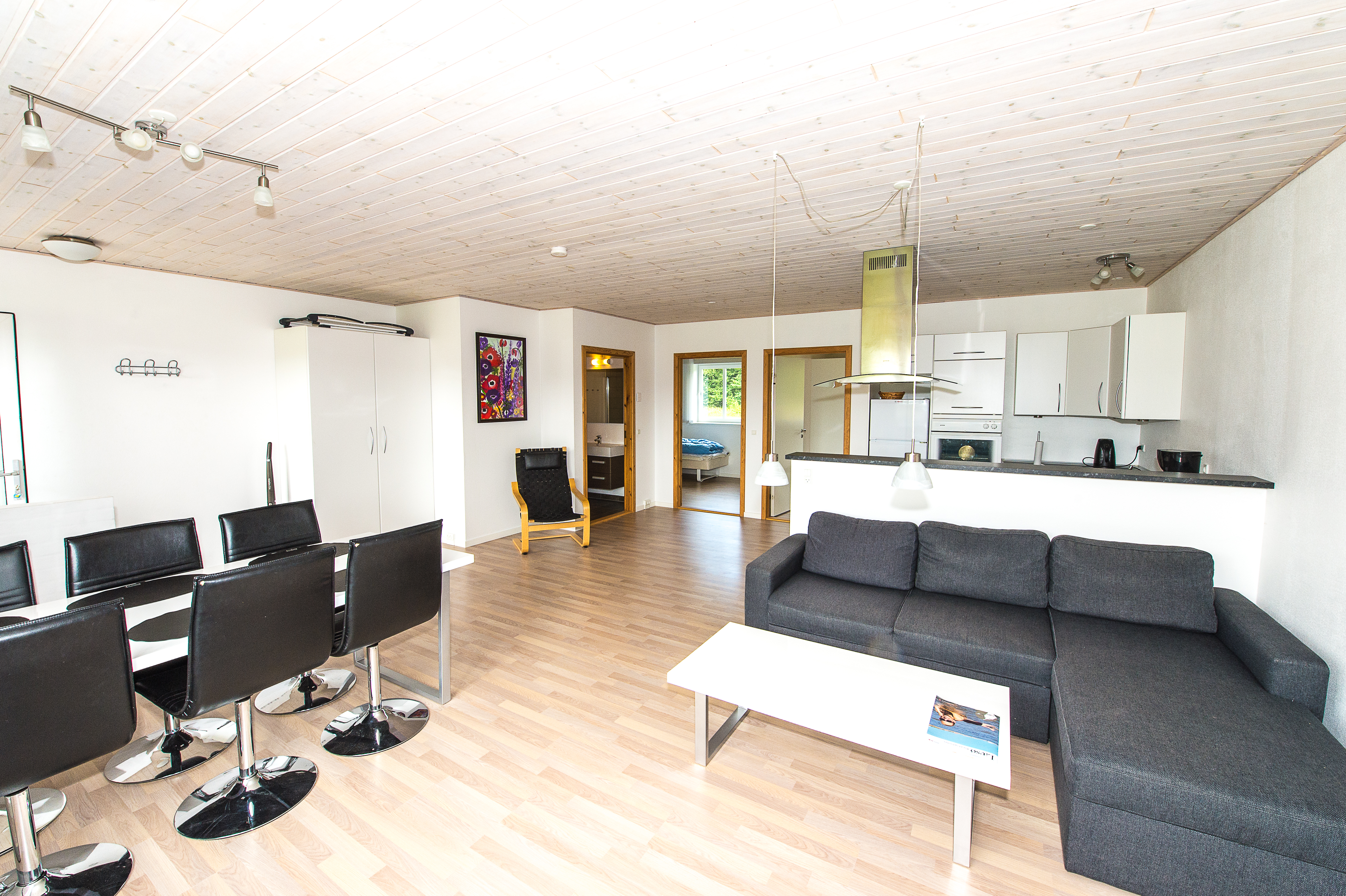 Gydensgaard Ferielejligheder - lys og rummelig lejlighed